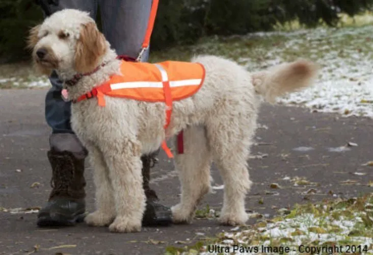 Ultra Paws Safety Vest-Small